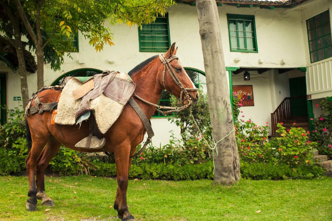 Posada Ingapirca Bagian luar foto