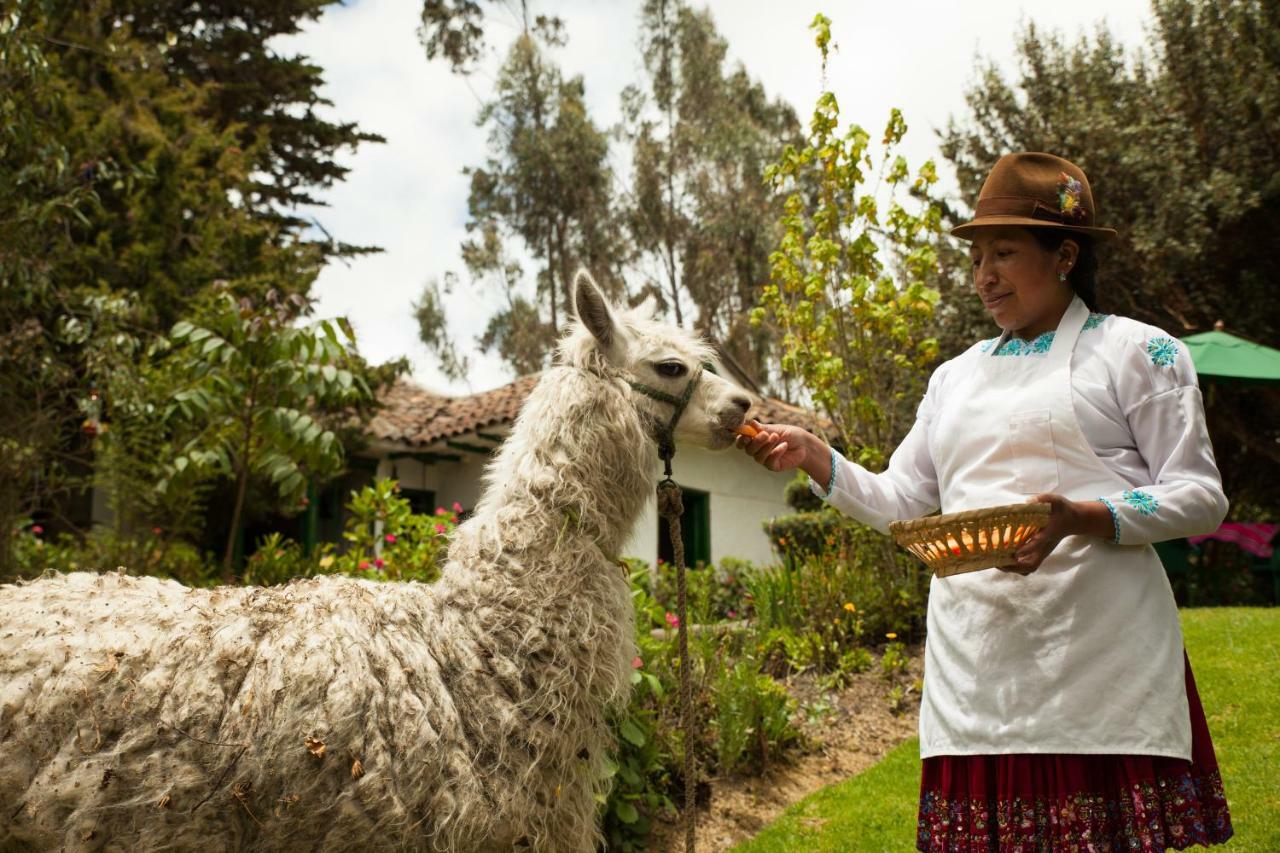 Posada Ingapirca Bagian luar foto